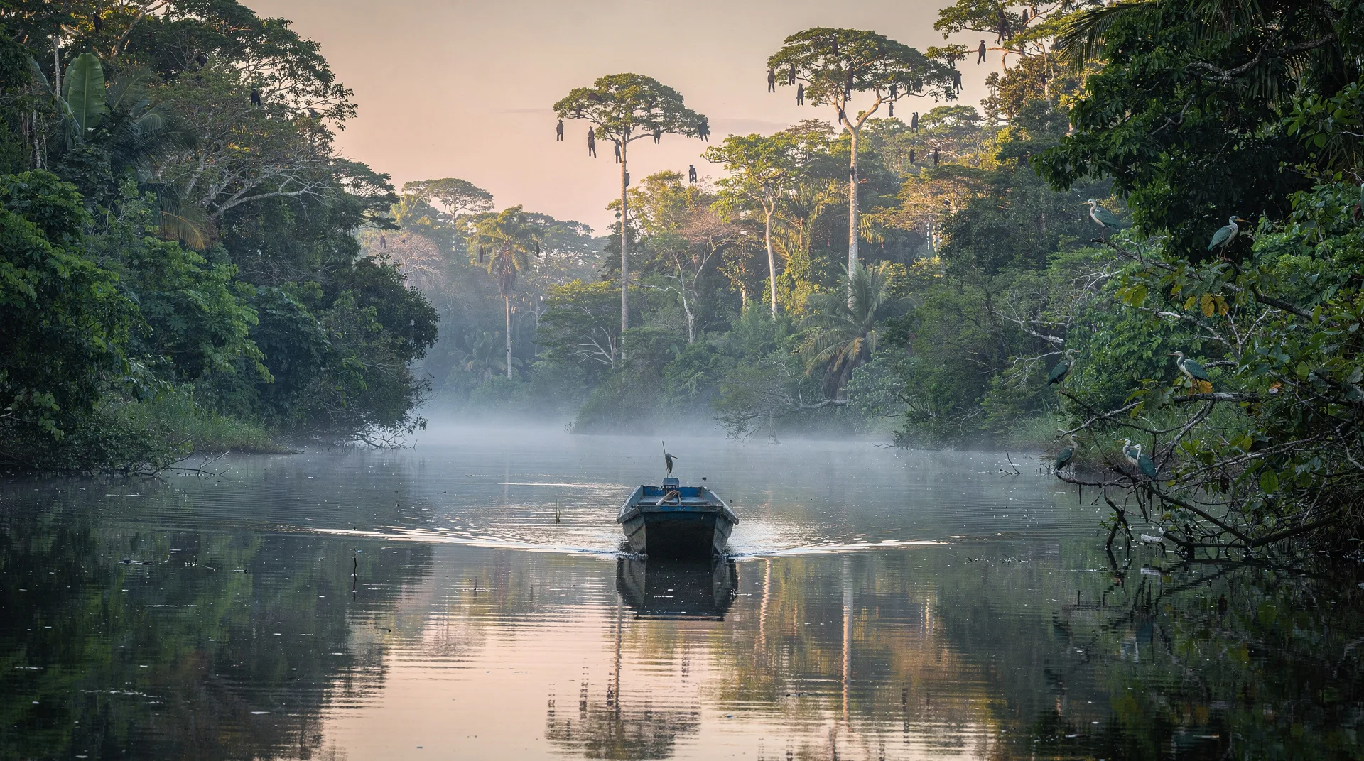 Tortuguero — canal villages, jungle waterways, and green sea turtles
