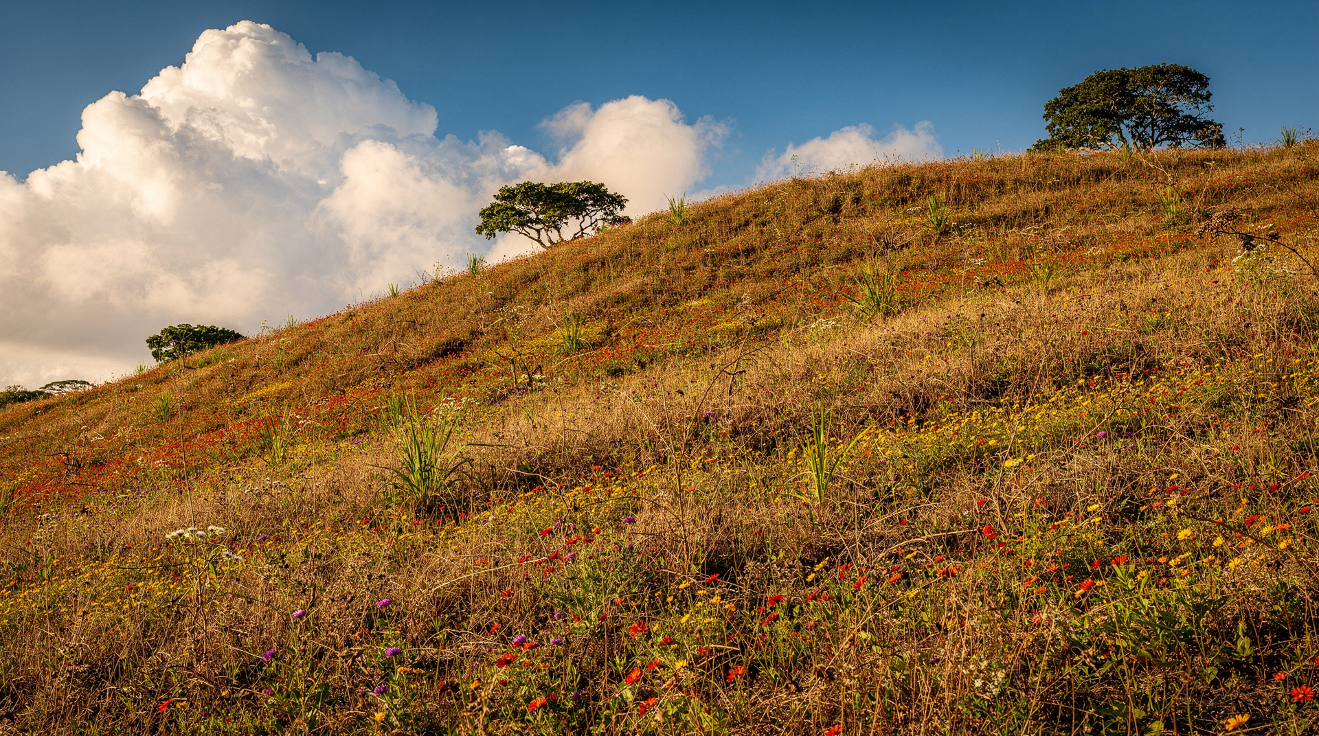 April weather in Costa Rica: the dry season's last chapter