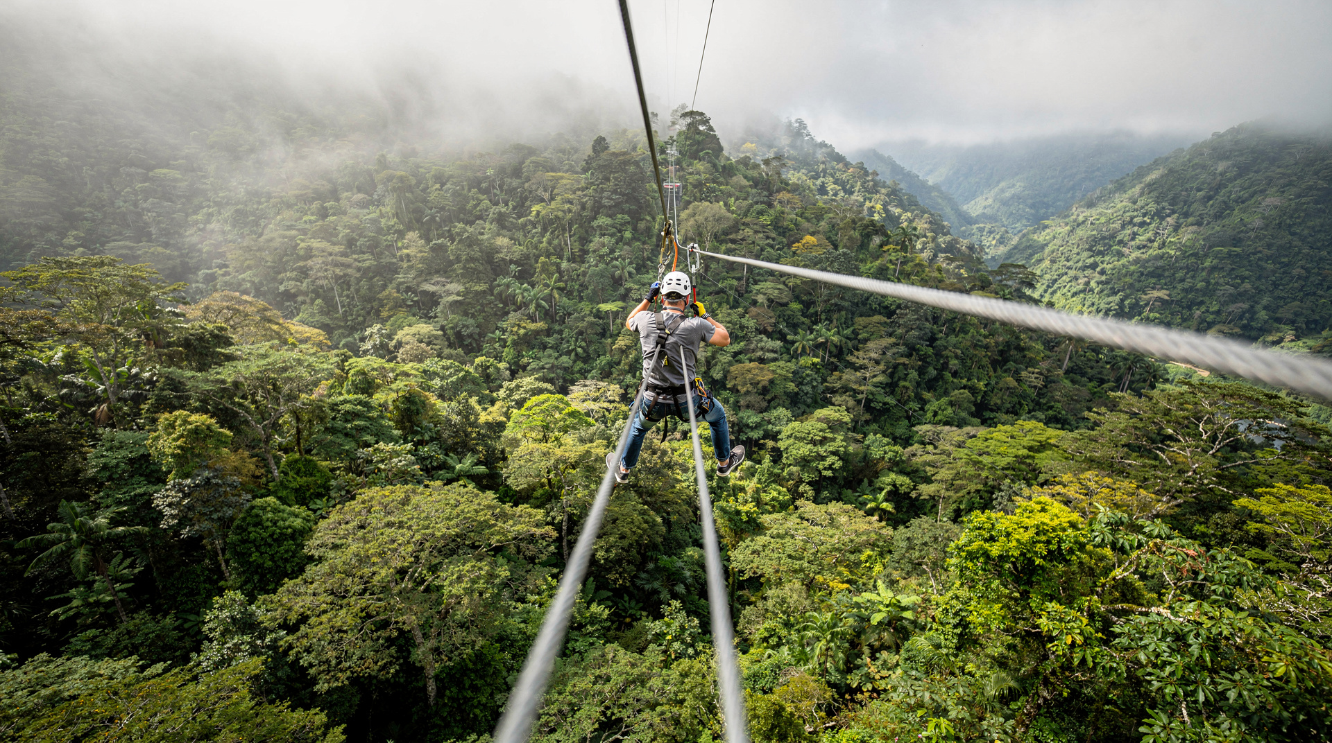 Monteverde ziplines: the definitive guide